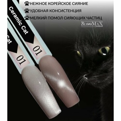 Гель лак BlooMaX Ceramic Cat 01 (8мл)